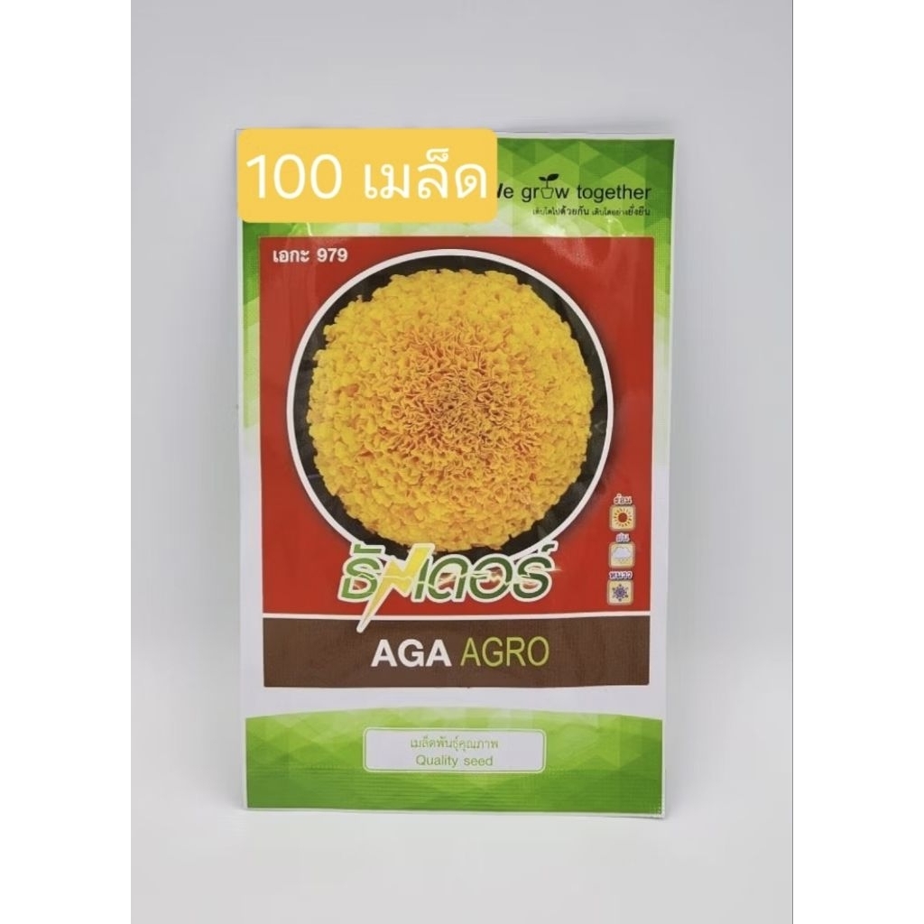 เมล็ดดาวเรืองธันเดอร์ ดีพโกลด์ สีทองเข้ม 100เมล็ด ทนร้อน ทนโรค ทุกฤดู AGA979 ดาวเรืองเอกะ979 เอกะธันเดอร์