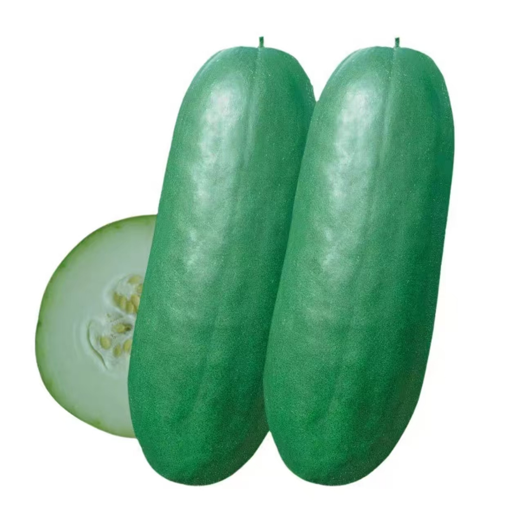 Early green small winter melon seed hairy winter melon mini-fruit Winter melon early maturity garden