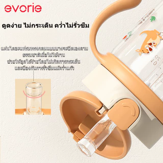 ขวดน้ำเด็ก Evorie Tritan 300ml BPA Free สำหรับเด็ก 1-3 ปี พร้อมหลอดซิลิโคน นุ่ม ปลอดภัย เก็บน้ำไม่รั่ว กันสำลัก ทนต่อการ