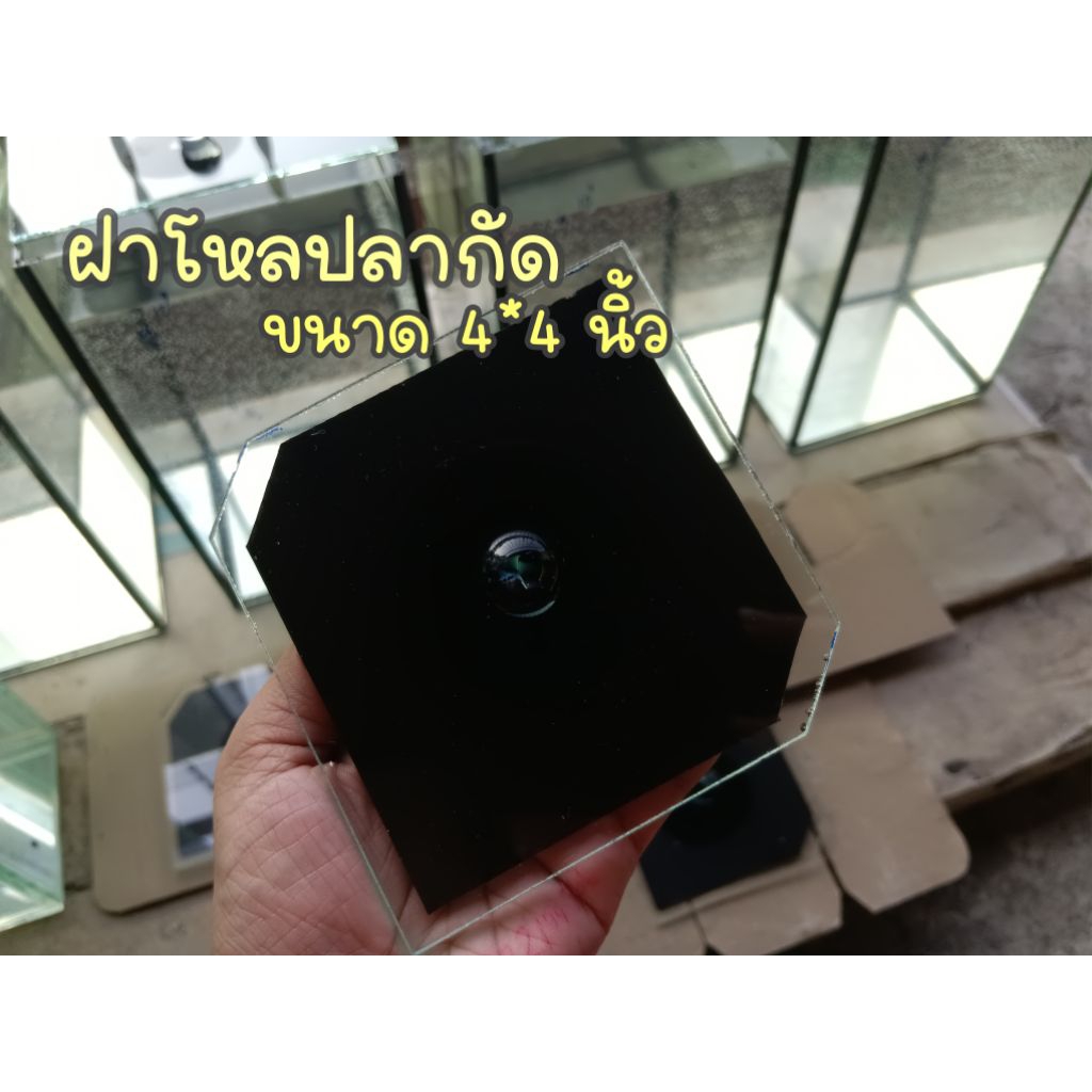 ฝาปิดโหลปลากัดแจ้งขนาดในแชท