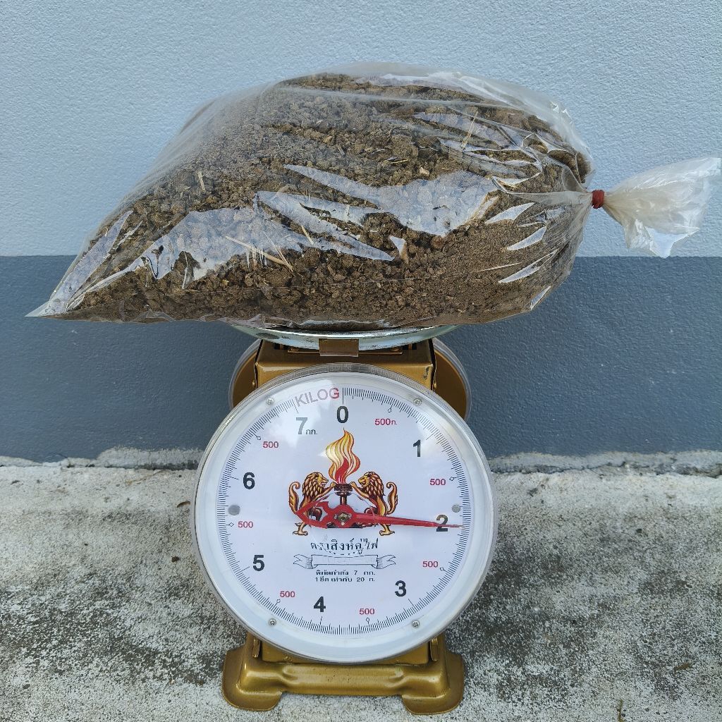 ปุ๋ยคอก*ขี้วัวแท้100%แห้งสนิทไร้กลิ่นคุณภาพสูงเหมาะกับต้นไม้ทุกชนิดขนาด2กิโลกรัม59บาท