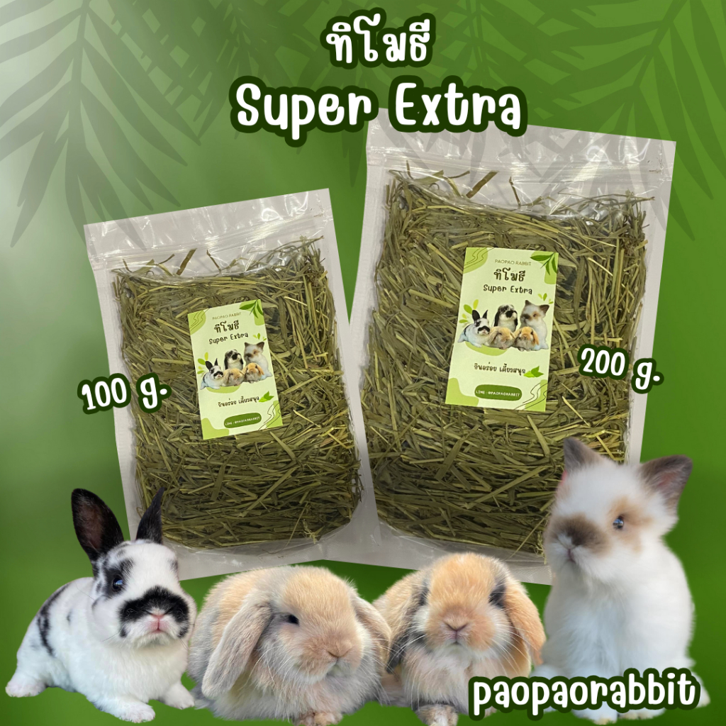 Timothy Super Extra ทิโมธี