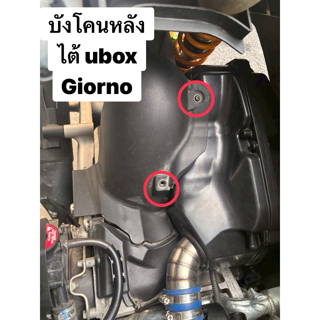 น๊อตใส่ giorno บังโคนหลังโต้ ยูบล๊อคชุด2 ตัว สีเงิน สีทอง สีไทเท-ราชาน๊อตเลส