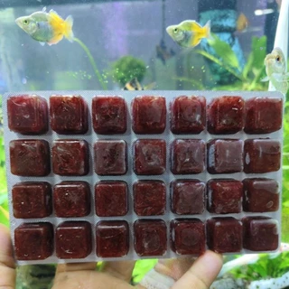 หนอนแดงแช่แข็ง BLOODWORM SEAGULL 100 กรัม เงินแดง 1แพ็คมี 28 หลุมExpress Delivery (SHP Food) เท่านั้น