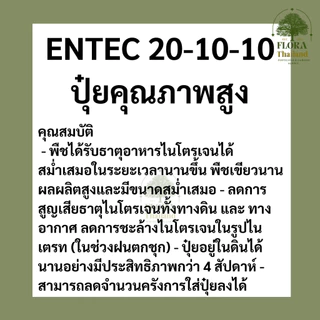ENTEC 20-10-10 ปุ๋ยคุณภาพสูงช่วยกระตุ้น : การแตกยอด แตกกอ เหมาะกับ ผักกินใบ ไม้ผล ไม้ดอก พืชสวนทั่วไป แบ่งบรรจุ