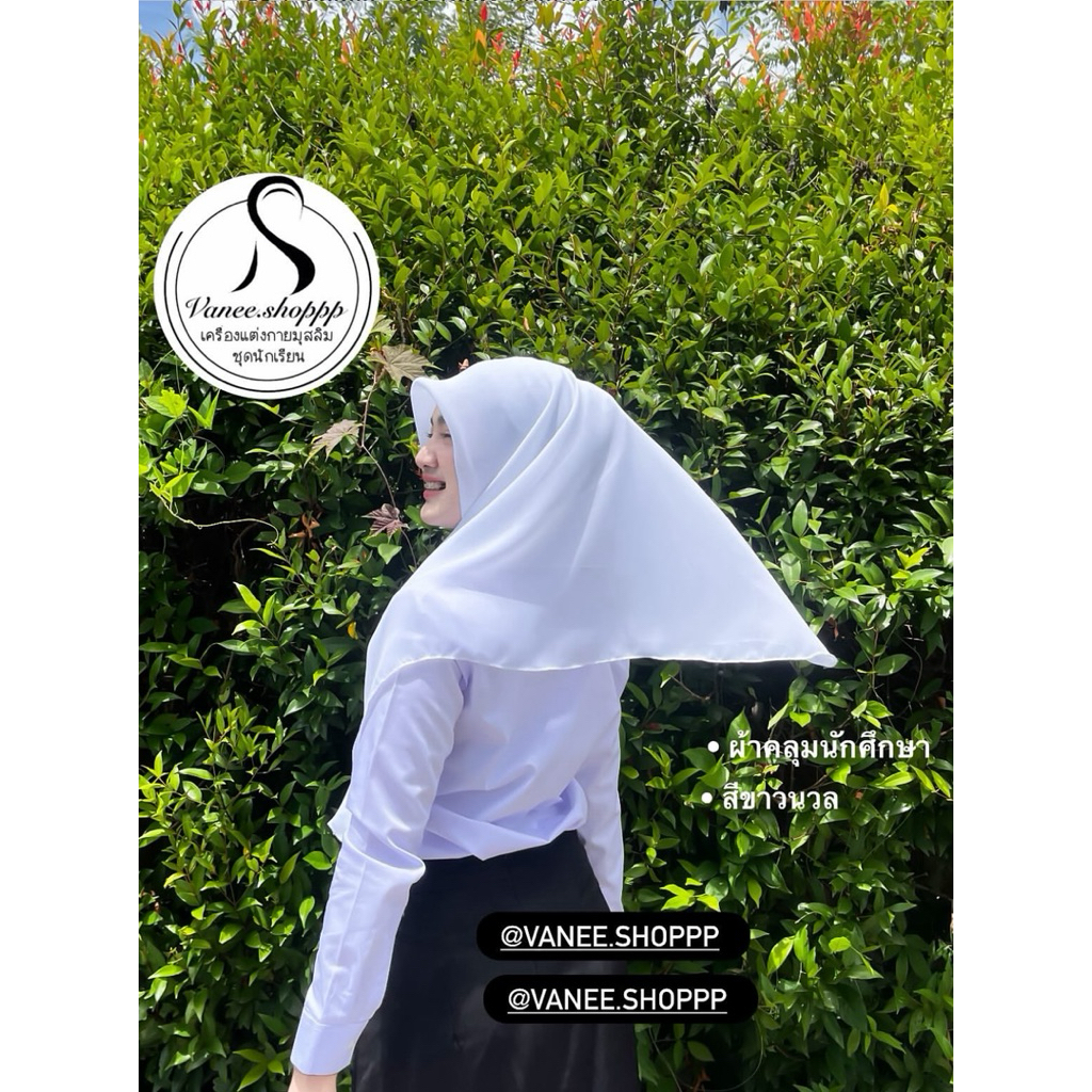 รูปภาพ 2