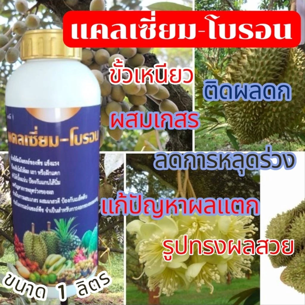 🌿แคลเซียมโบรอน🌱🌴 คีเลต อะมิโนสูตรเข้มข้น ขั้วเหนียวผสมเกสรป้องกันผลแตกใช้ดีแน่นอน