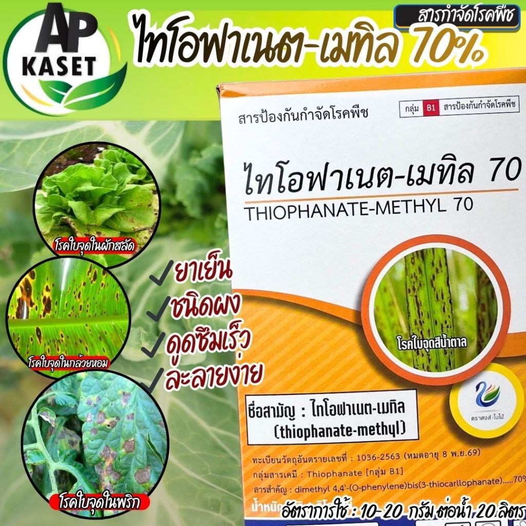 ยากำจัดเชื้อรา สารไทโอฟาเนต-เมทิล 70% ชนิดผง ดูดซึมเร็ว ป้องกัน กำจัด ใบจุดสีน้ำตาล ใบติด ใบไหม้ ขนาด 1 กิโลกรัม ส่งฟรี