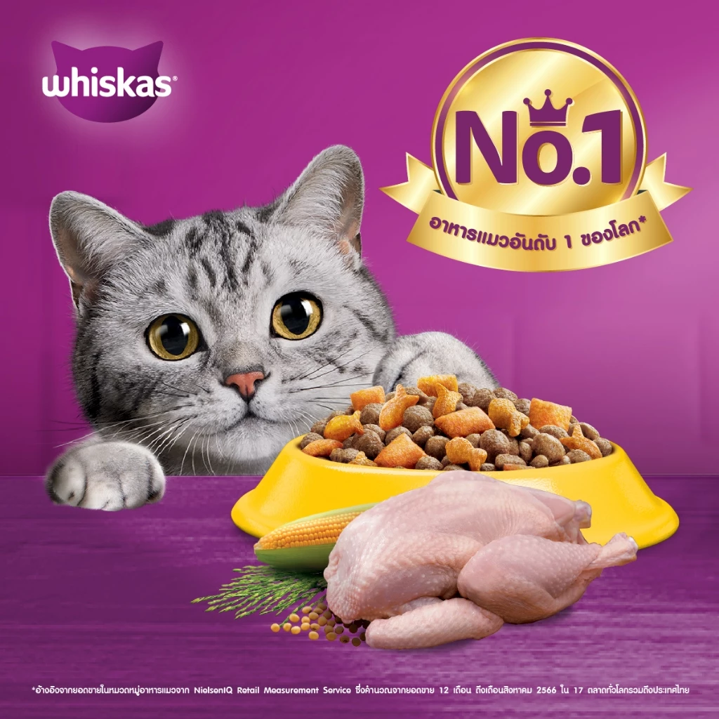 WHISKAS วิสกัส อาหารเม็ดแมวสำหรับแมวโต 1.2 กก. thumbnail 3