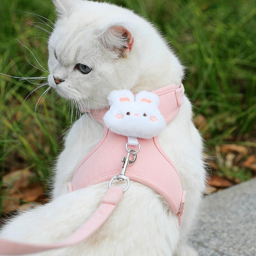 PP-1255 สายจูงรัดอกสัตว์เลี้ยง พร้อมตุ๊กตาน่ารัก 🎀🐶🐱 ครบชุดทั้งปลอกคอและสายจูง ใส่สบาย ปรับขนาดได้ พร้อมส่ง