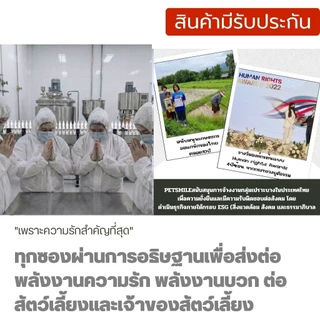 Petsmile น้ำยาเช็ดหูสุนัข เช็ดหูหมาสูตรสัตวแพทย์ ลดกลิ่นเหม็น ออร์แกนิกLongevity by Doctor Chopetch