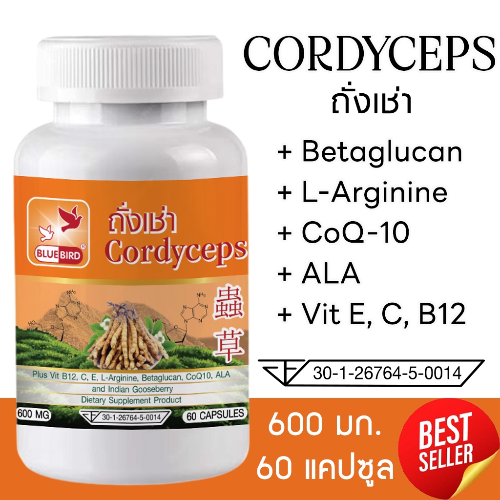 ถั่งเช่า ตังถั่งเช่า Cordyceps ตรา บลูเบิร์ด ขนาด 600 มิลลิกรัม 60 แคปซูล ราคาส่ง