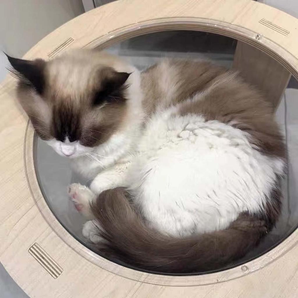 คอนโดแมว คอนโดแมวไม้ พื้นที่ขนาดใหญ่ บ้านลับแลบแมว เสาปีนแมว บ้านแมวสำหรับ4-6ตัว พร้อมโดมนอนแบบใสและบันได - รูปที่ 4