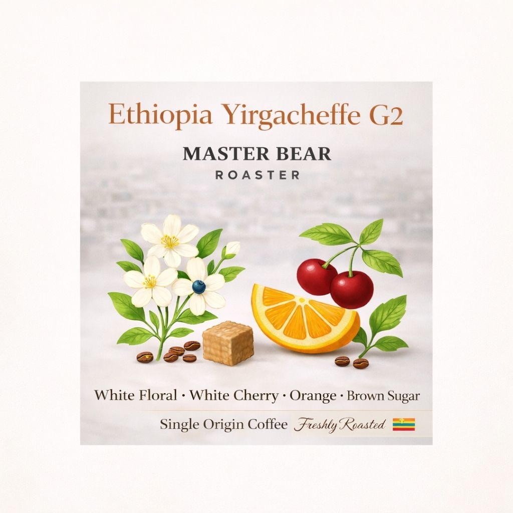 Popular Coffee roaster เมล็ดกาแฟคั่ว Ethiopia Yirgachaffe G1