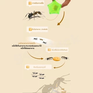 🐜กับดักมดแบบออลอินวัน🐜 เหยื่อล่อมด เจลกำจัดแมลงมด บรรจุแยกชิ้น 2 ชิ้น เพียงแปะไว้ตามมุมต่างๆ ของบ้านเพื่อกำจัดมด ปลอดภัย