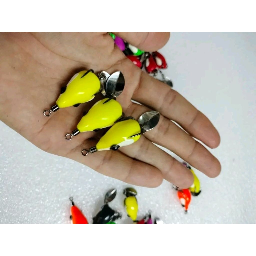 Thumbnail 6
