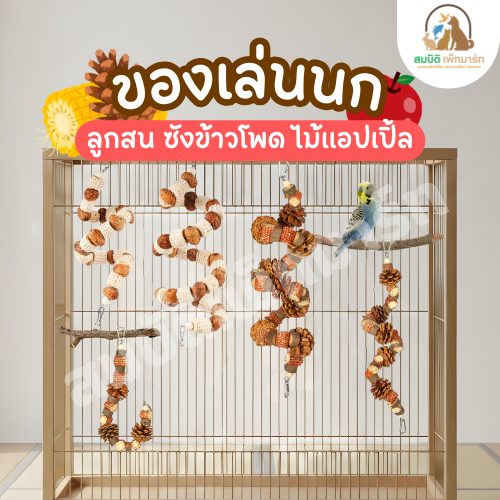 ของเล่นนก ลูกสน ชังข้าวโพด ไม้แอปเปิ้ล ของเล่นกัดฝึกฟัน ปีนป่าย วัสดุธรรมชาติ เพลินทั้งวัน