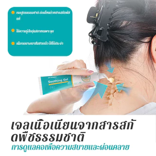 เจลบรรเทา DR.REROIAi - โสม ขิง ไผ่ สารสกัดจากธรรมชาติ ช่วยบรรเทาความไม่สบายกระดูกสันหลังส่วนคอ