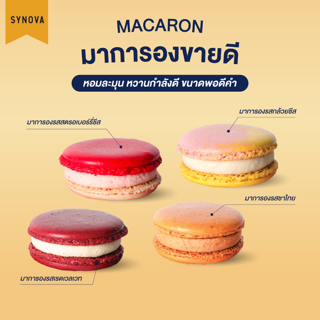 มาการอง SYNOVA : มาการองขายดี (แพ็ค)