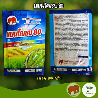 แมนโคเซบ 80 (100กรัม/500กรัม/1กิโลกรัม) ยาเชื้อราสร้างเกราะป้องกันโรคพืช ป้องกันโรคแอนแทรคโนส ใบจุด ราดำ ราสนิม