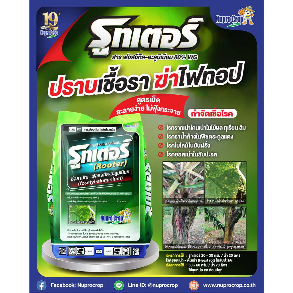 รูทเตอร์-ฟอสอีทิล อะลูมิเนียม80% WG (Fosetyl-aluminium) (1 KG ) ใช้กำจัดโรคในดิน โรครากเน่า โคนเน่า