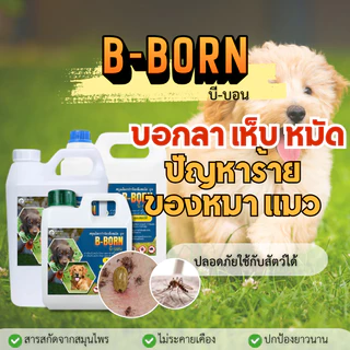 เห็นผลทันที น้ำยากำจัดเห็บหมา น้ำยาป้องเห็บหมัด เหา ไร สเปรย์พ่นเห็ บ หมั ด ไร สุนัข แมว เลียได้ปลอดภัย BN