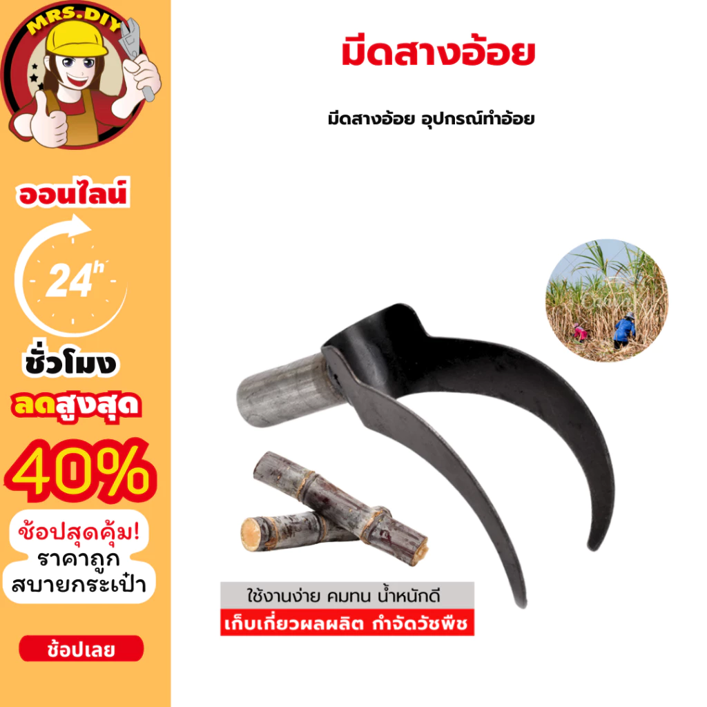 มีดสางอ้อยสแตนเลส อุปกรณ์ทำอ้อย