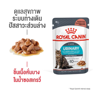 (12ซอง) Royal canin Urinary pouch 85gx12 ซอง อาหารเปียกสำหรับแมวป้องกันนิ่ว