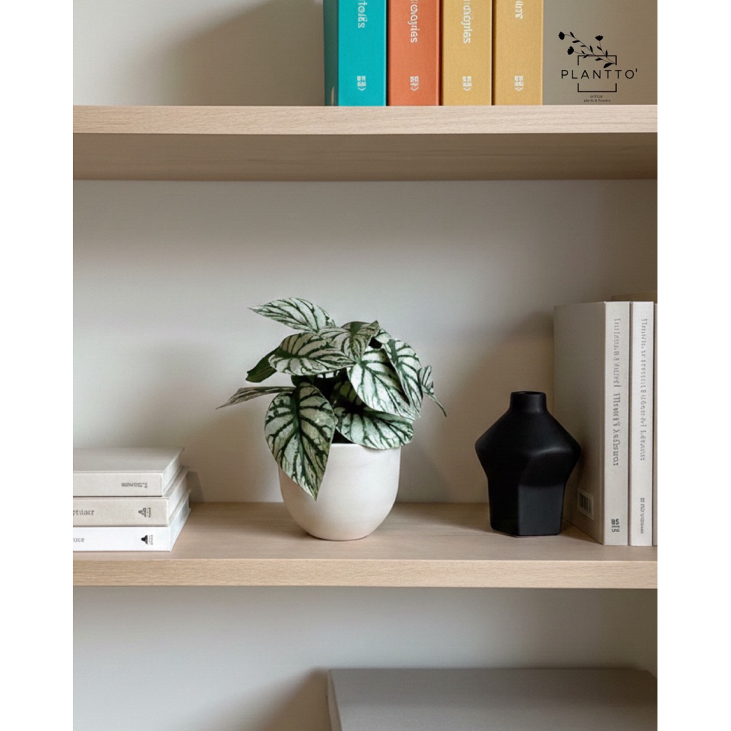 ต้นไม้ปลอม Alocasia Silver กระถางดินเผากว้าง 11 cm สูงรวม 20 cm - รูปที่ 5