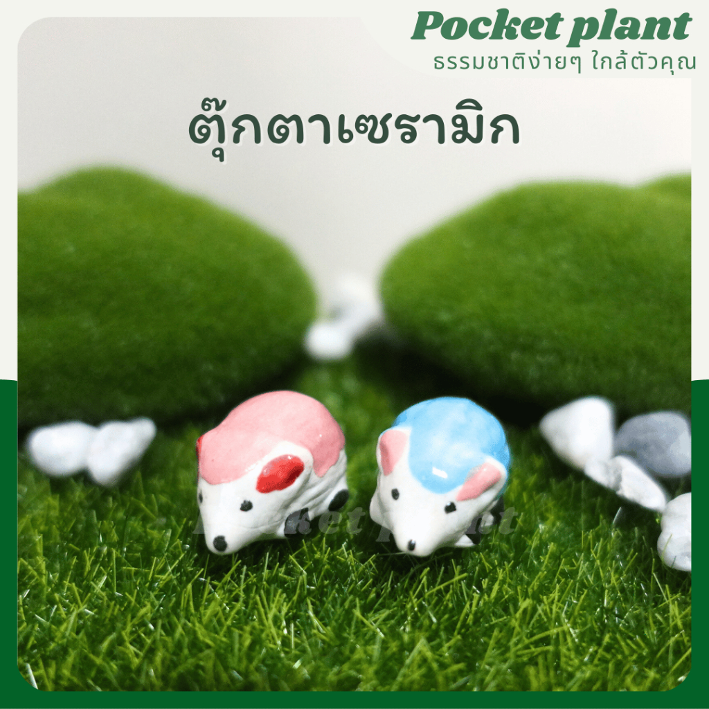 มุมมอง 3