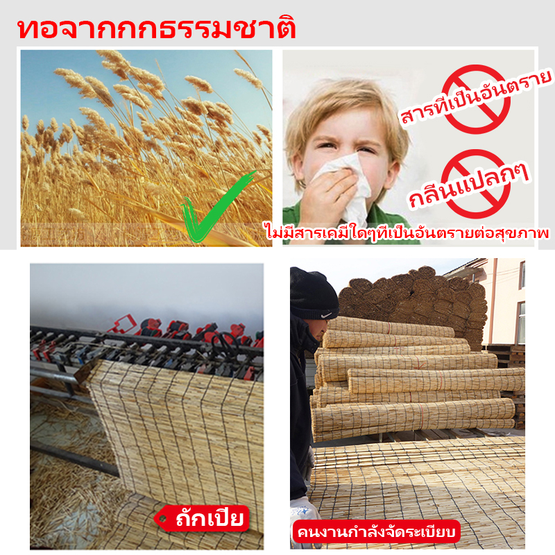 ม่านกกม้วน ม่านกก ปรับได้ 100CM×100CM/300CM-กันน้ำ สตั๊ดติดผนังฟรี ตกแต่งผนัง เป็นธรรมชาติ - รูปที่ 2