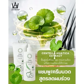 CHIA Organic Anti Hair Loss Shampoo เชียแชมพูออร์แกนิค แชมพูบิ๊ก แชมพูจ๊ะ