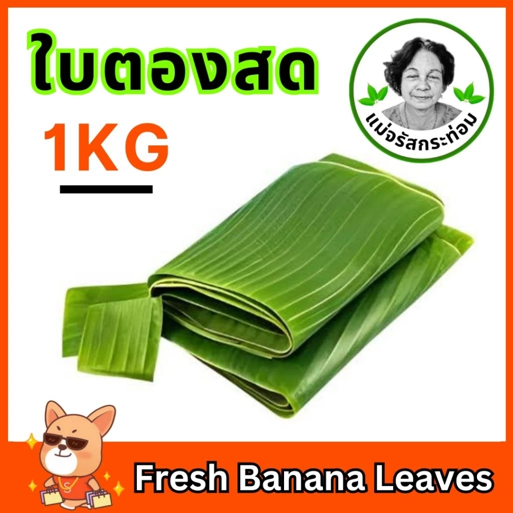 🍌🌿 ใบตองสด Fresh Banana Leaves ใบกล้วยน้ำว้า 1 กิโล จากสวนปลอดสารพิษ ใช้ห่อขนม ทำกระทง
