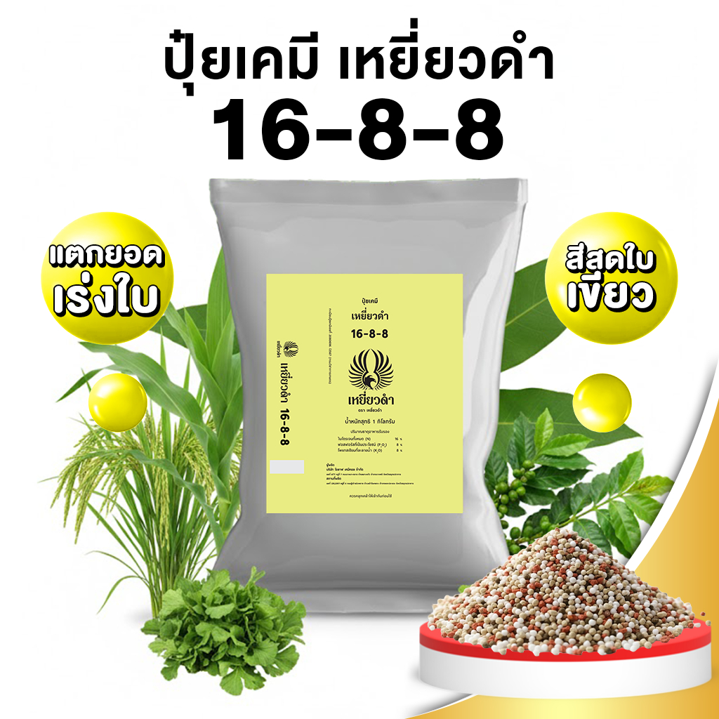 ปุ๋ยเคมี สูตร ปุ๋ย 16-8-8 ปุ๋ยเหยี่ยวดำ ปุ๋ยเร่งใบและต้น ในช่วงต้นอ่อนให้พร้อมออกดอก เพิ่มราก ปุ๋ยเม