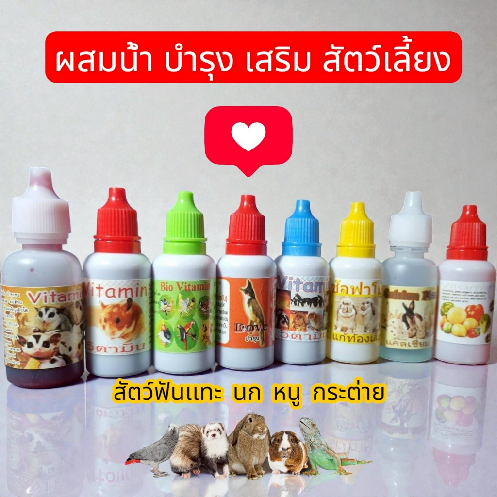 50 cc วิตามินสำหรับสัตว์เล็ก สำหรับสัตว์เล็กและสัตว์ฟันแทะ ส่งด่วนทุกวันจร้า