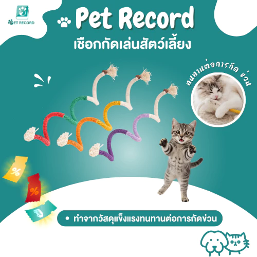 Pet Record เชือกขัดฟันแมว 60cm ผสมผลไม้แมว (Gall Fruit) เคี้ยวเพลิน ลดหินปูน คลายเครียด