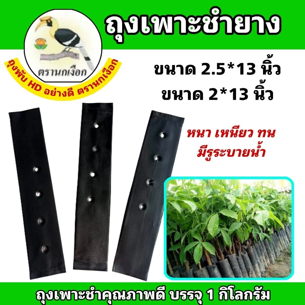 ถุงชำยาง ถุงเพาะชำยาง ขนาด 2*13 นิ้ว และ 2.5×13 นิ้ว ตรานกเงือกไทย คุณภาพดี หนาเหนียวทน (ขายเป็นกิโลกรัม)