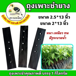 ถุงชำยาง ถุงเพาะชำยาง ขนาด 2*13 นิ้ว และ 2.5×13 นิ้ว ตรานกเงือกไทย คุณภาพดี หนาเหนียวทน (ขายเป็นกิโลกรัม)