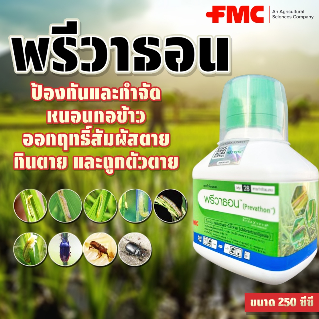 พรีวาธอน ขนาด 250cc สารคลอแรนทรานิลิโพรล ป้องกันกำจัดแมลง เช่น หนอนกอ หนอนม้วนใบ หนอนเจาะสมอฝ้าย