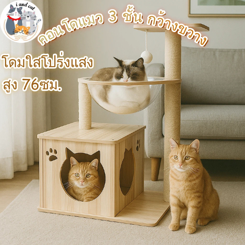คอนโดแมวหลุมอวกาศ I And Cat รีวิว สูง 76 ซม. แข็งแรง ฟังก์ชันครบสำหรับแมว