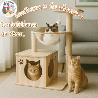 [พร้อมส่ง]🐱 คอนโดแมว ที่นอนแมว 2 ชั้น หลุมแมว แคปซูลใส เตียงแมว เสาลับเล็บแมว แข็งแรง ไม่ล้ม