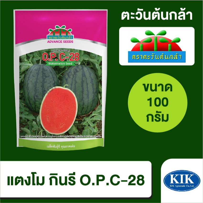 เมล็ดพันธุ์ ตะวันต้นกล้า แตงโม กินรี*OP C-28 ABS ขนาด 100 กรัม