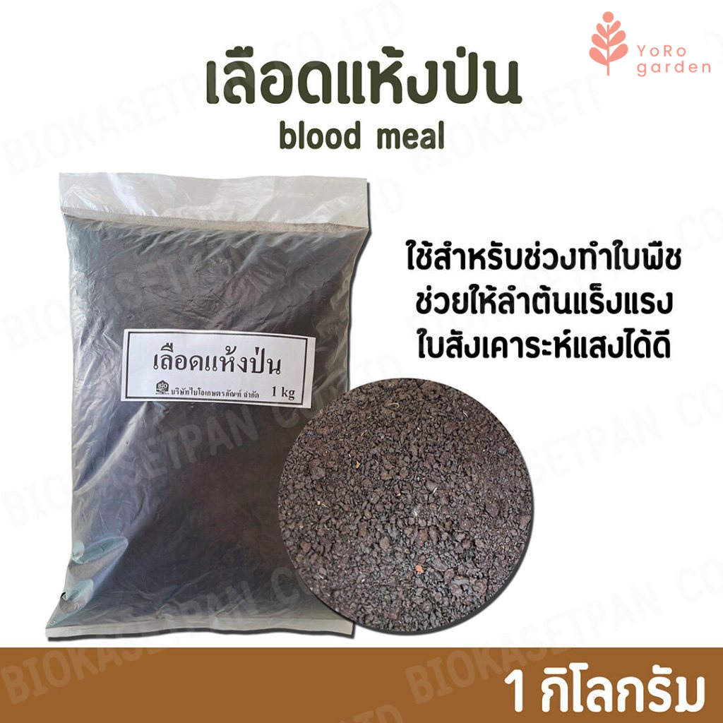 เลือดแห้งป่น Blood meal 1กิโลกรัม ใช้สำหรับช่วงทำใบของพืช ช่วยให้ลำต้นแข็งแรง ใบสังเคราะห์แสงได้เต็มที่