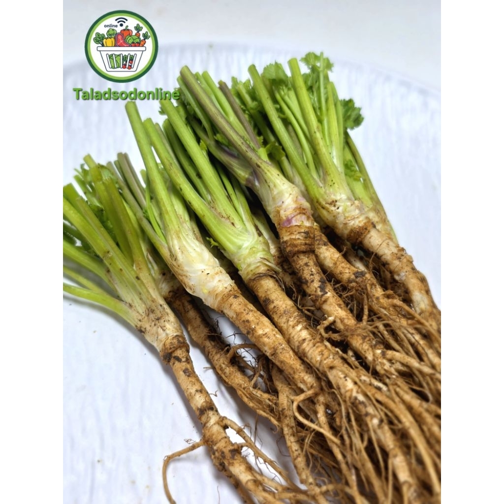 รากผักชี สด สะอาด รับประกันคุณภาพ