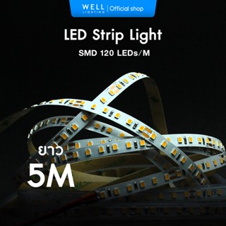 LED Strip Light SMD  DC24V ไฟเส้นแอลอีดี สวย สว่าง ยาวม้วนละ…