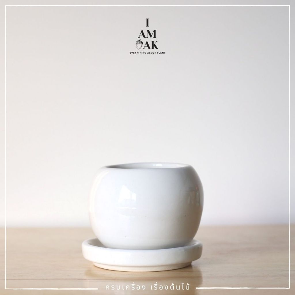 Minimalist Round Ceramic Pot with Narrow Opening [BY GS] - View 7