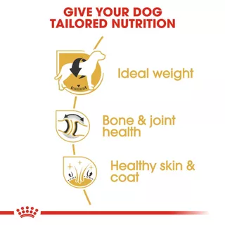 ROYAL CANIN LABRADOR ADULT สุนัข1ปีขึ้นไป สูตรเฉพาะสายพันธ์ กระสอบ 12 กิโลกรัม{อาหารสุนัขเม็ด}