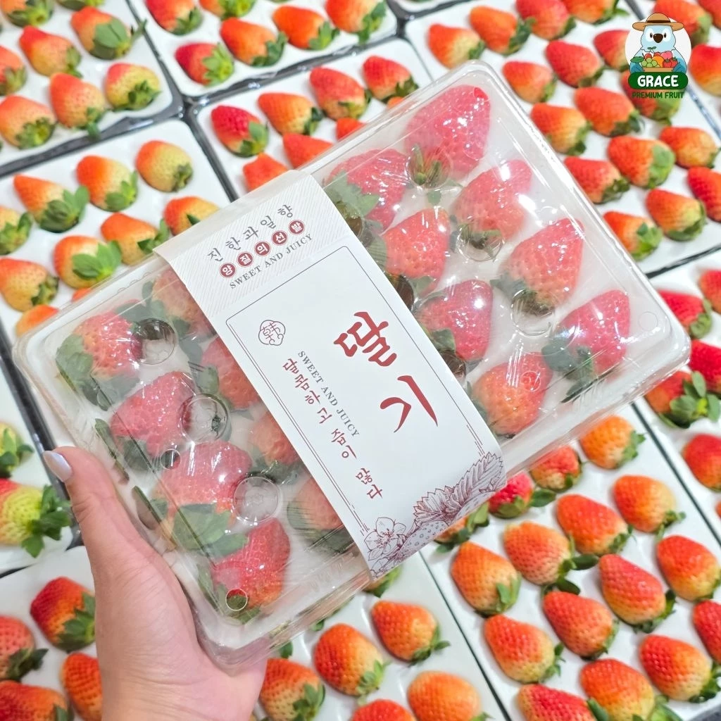 🍓 สตอเบอรี่สด 🍓 แพ็ค 20-24 ลูก โปรดอ่านรายละเอียดก่อนสั่งซื้อ