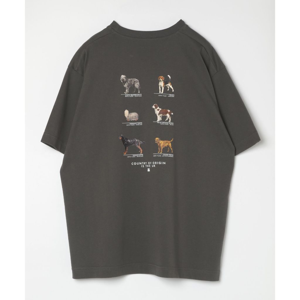 GLOBAL WORK เสื้อยืด กราฟิกเอ็กซ์คลูซีฟ Graphic T-shirt 2 (Short Sleeve) ราคา ถูกที่สุด ดีลบีเคเค แกลเลอรีภาพที่ 9