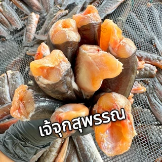 ปลาดุกกลม ดุกนา ดุกเล็ก แพค 500 g ไซส์เล็ก ตากแดดเดียว